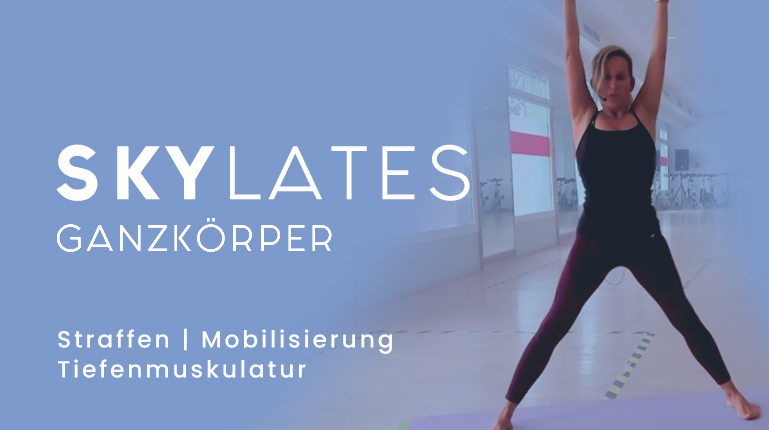 skylates Full Body Workout