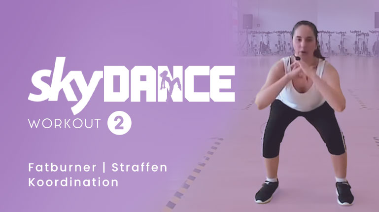 skyfit Club - skydance Workout 2